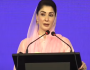 خیبرپختونخوا کے لوگ اب بھی پتھر کے زمانے میں رہ رہے ہیں:وزیراعلیٰ پنجاب