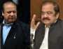 نواز شریف کے ذمہ جو کردار ہوا وہ ادا کریںگے: رانا ثناء