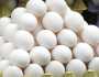 فارمی انڈے 7 روپے درجن مہنگے