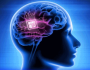 انسانی دماغ کے ایک حیرت انگیز راز کا انکشاف