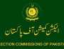 پنجاب میں بلدیاتی انتخابات، الیکشن کمیشن نے حلقہ بندیوں کا شیڈول جاری کر دیا