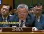 چین کا ہر قسم کی دہشت گردی کے خاتمے کا مطالبہ