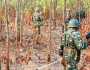 بھارتی فوج نے آپریشن میں 31 ماؤ نوازوں کو ہلاک کر دیا