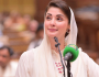 صوبے کا نام ’مریم آباد‘ رکھ لیں، پنجاب کی وزیراعلیٰ سے یہ مطالبہ کیوں کیا جارہا ہے؟