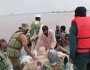 پنجاب کے سیلاب زدہ علاقوں میں پاک فوج کا ریسکیو آپریشن ، ہزاروں شہری اور مویشی محفوظ مقامات پر منتقل