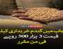 گندم پالیسی کی منظوری ، خریداری قیمت 3500 روپے فی من مقرر