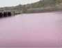 گڈانی جیٹی کا سمندری پانی گلابی رنگ کا ہو گیا 