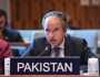 اقوام متحدہ میں پاکستان کا غزہ میں مکمل اور فوری جنگ بندی پر زور