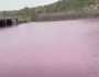 گڈانی کا سمندری پانی گلابی ہوگیا، وجہ بھی سامنے آگئی