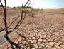محکمہ موسمیات نے ناکافی بارشوں کے باعث خشک سالی کا اندیشہ ظاہر کردیا