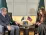وفاقی وزیرِ داخلہ محسن نقوی سے قائم مقام امریکی سفیر کی ملاقات