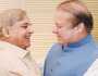 پاک، بھارت کشیدگی پر نواز اور شہباز ملاقات