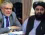 اسحاق ڈار اور افغان وزیر خارجہ امیر متقی میں رابطہ، دوطرفہ تعلقات اور تجارت پر گفتگو