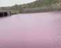 گڈانی جیٹی کا پانی آلودہ ہونے کے باعث گلابی رنگ کا ہوگیا