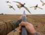 محکمہ جنگلی حیات کے پی نے آبی پرندوں کے شکار پر پابندی عائد کردی