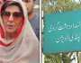 راولپنڈی: علیمہ خان سمیت 10 ملزمان پر فرد جرم عائد
