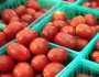 ٹماٹر عوام کی پہنچ سے دور، قیمت میں مزید اضافہ